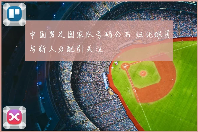 中国男足国家队号码公布 归化球员与新人分配引关注