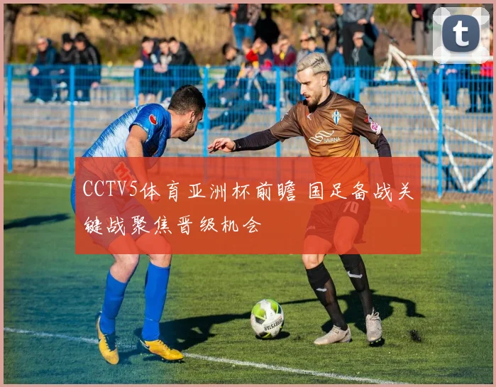 CCTV5体育亚洲杯前瞻 国足备战关键战聚焦晋级机会