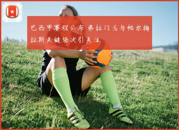 巴西甲赛程公布 弗拉门戈与帕尔梅拉斯关键场次引关注