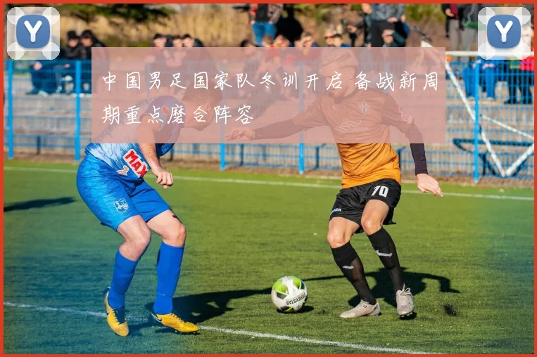 中国男足国家队冬训开启 备战新周期重点磨合阵容
