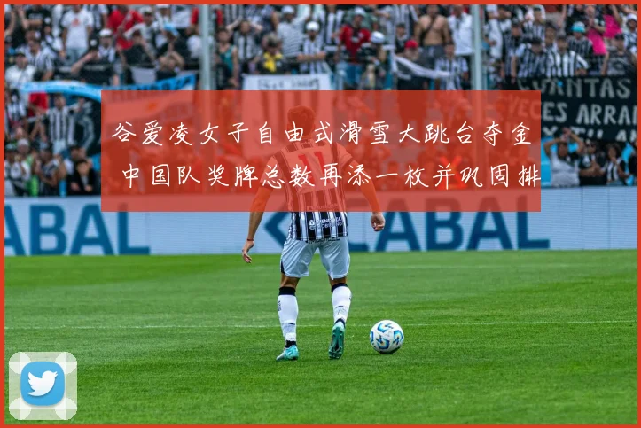 谷爱凌女子自由式滑雪大跳台夺金 中国队奖牌总数再添一枚并巩固排名