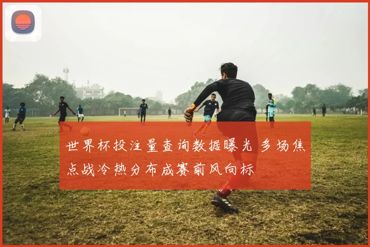 世界杯投注量查询数据曝光 多场焦点战冷热分布成赛前风向标