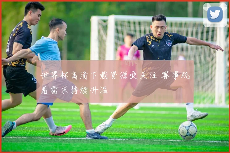 世界杯高清下载资源受关注 赛事观看需求持续升温
